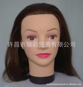 真发模型采购与教学应用指南