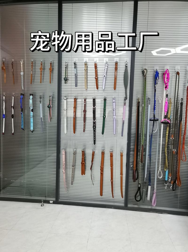探秘宠物用品工厂 教学演示用品的背后故事